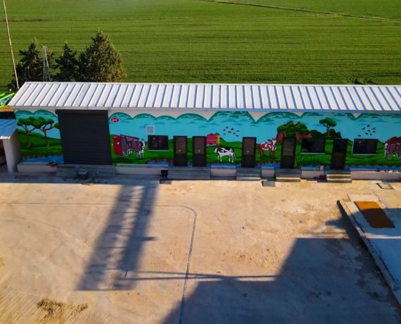 Sarıkız Çiftliği Süt Odası Projesi