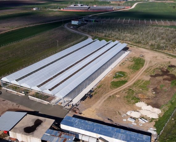 Trakya Büyükbaş Hayvancılık İnşaatı Projesi